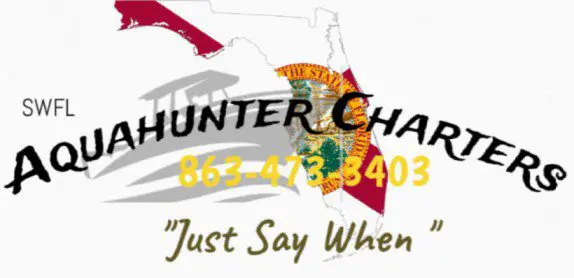 Hunter Chase logo with a phone number and tagline.