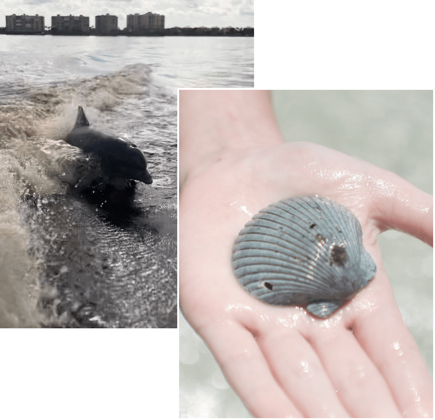 SWFL Aquahunter Charters