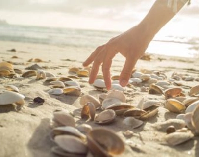 A hand reaching for seashells on a sandy beach during sunset.