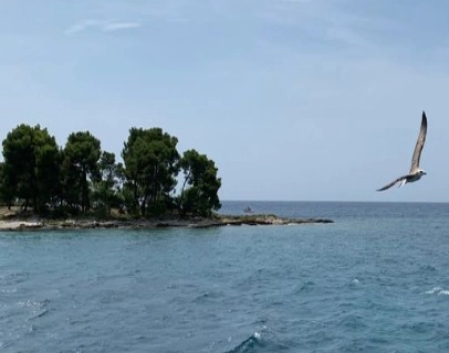 Small island with trees in a calm sea under a clear sky.