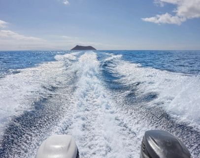 Boat leaving a foamy trail on the ocean with an island in the distance.